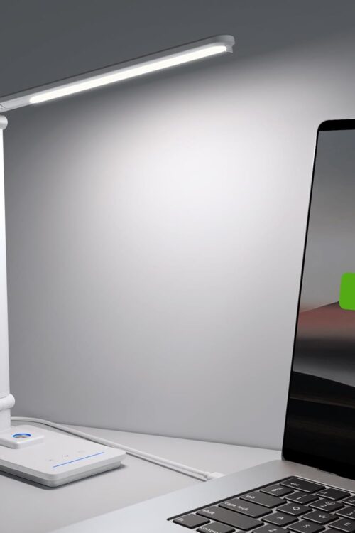 Double Swing Arm LED Desk Lamp with Night Lights